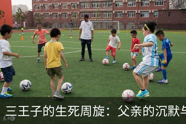三王子的生死周旋：父亲的沉默与离散的家族